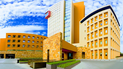 Hospital Zambrano Hellion TecSalud, Monterrey