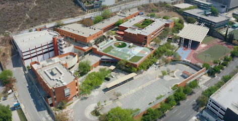 Liceo de Monterrey Redwood