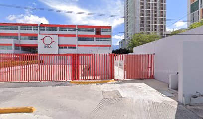 Just English School
