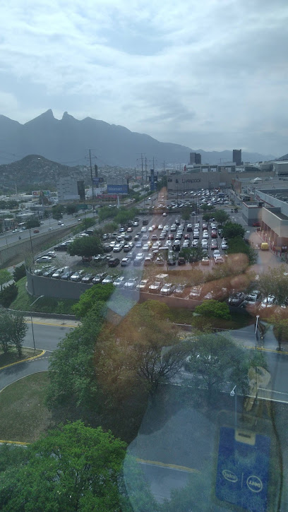 Santos Elizondo, Monterrey