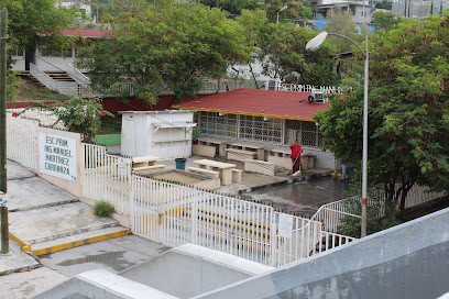 Escuela Primaria Ingeniero Manuel Martínez Carranza