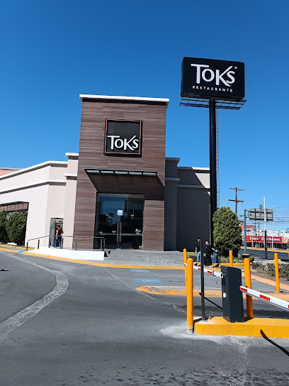 Toks Garza Sada