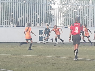Colegio San Patricio