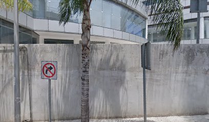 Dra. Carmen Cecilia Ramos Alcázar, Dermatólogo