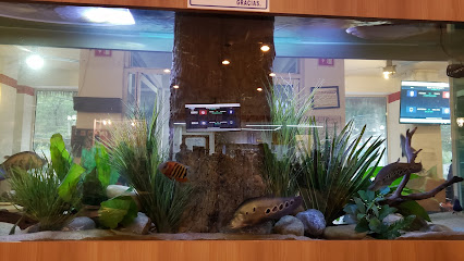 La Pesca
