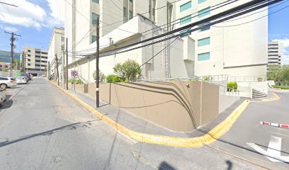 Dra. Aracely Torres Saldaña, Otorrinolaringólogo