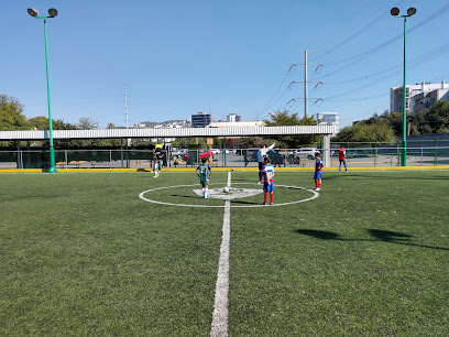 Colegio Mexicano