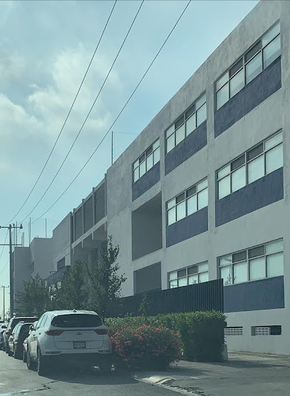 Multicultural School Of Monterrey