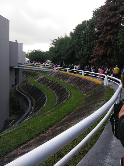 Facultad de Medicina