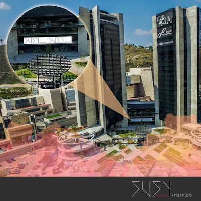 Susy Pro Stylists Trebol Park