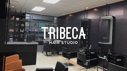 Salón de belleza -Tribeca Hair Studio - Leones