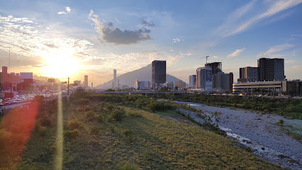 Puente del Papa