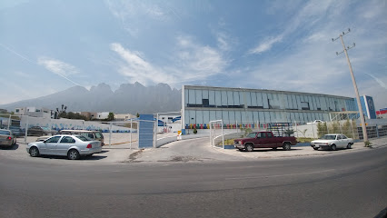 Instituto Bilingue Stanford